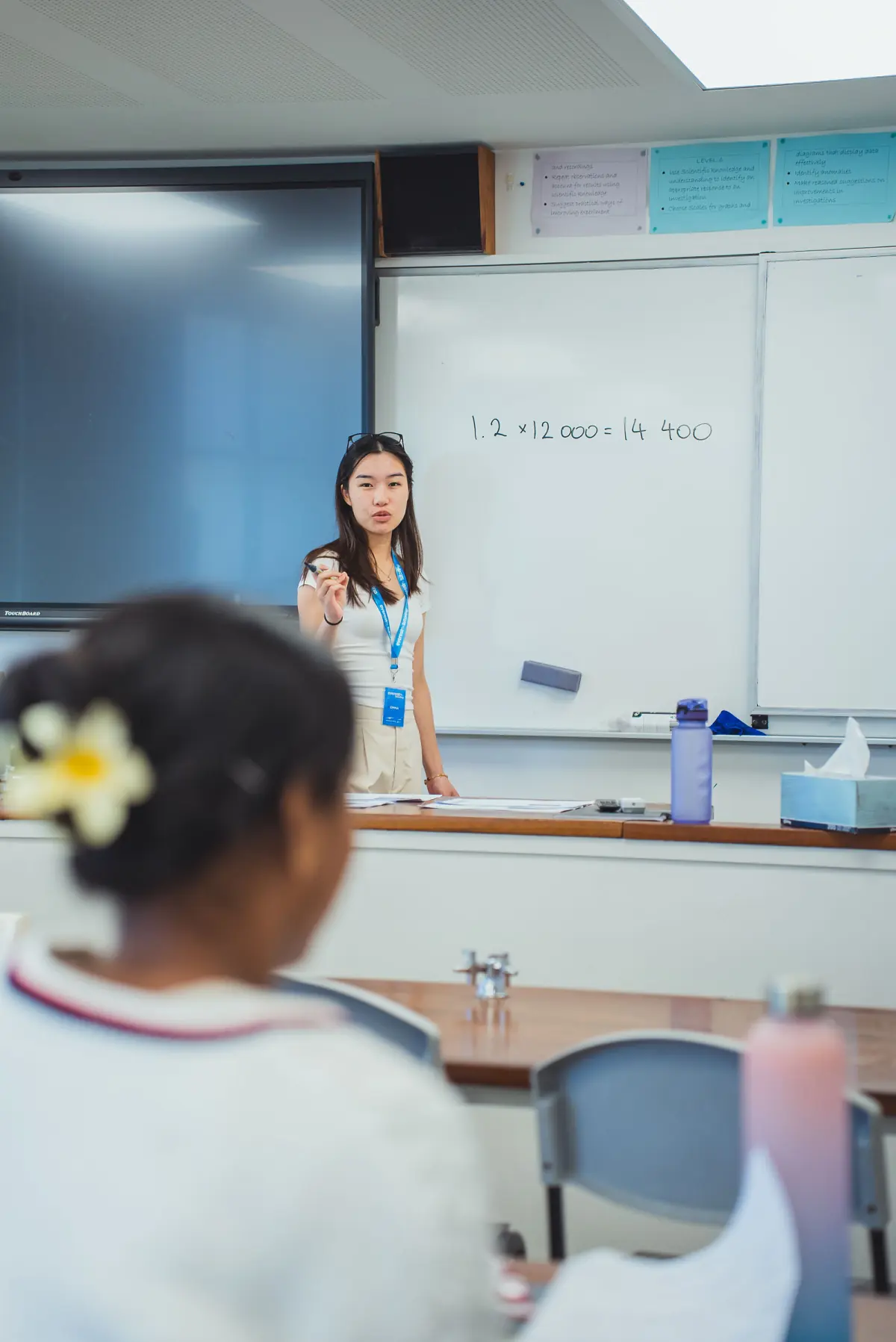 Maths Applications at Everest Tutoring